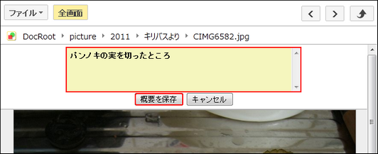 clip0175
